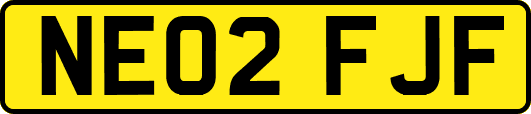 NE02FJF