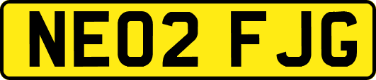 NE02FJG