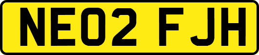 NE02FJH