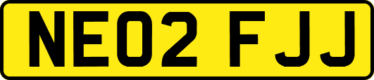 NE02FJJ