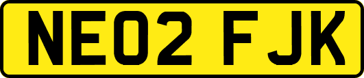NE02FJK