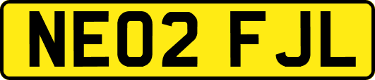 NE02FJL