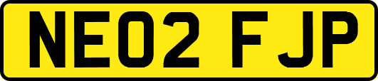 NE02FJP