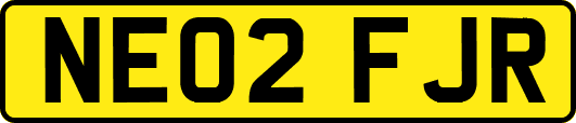 NE02FJR