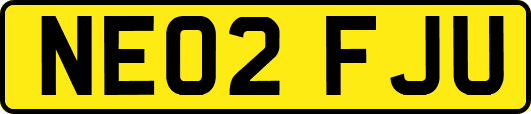 NE02FJU