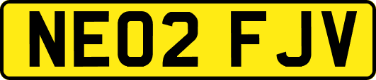 NE02FJV