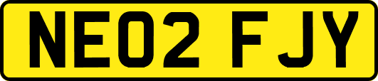 NE02FJY
