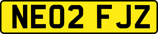 NE02FJZ