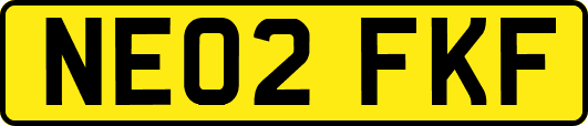 NE02FKF
