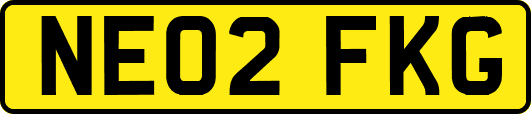 NE02FKG