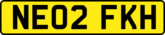 NE02FKH