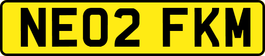 NE02FKM