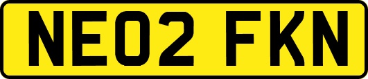 NE02FKN