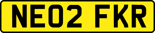 NE02FKR