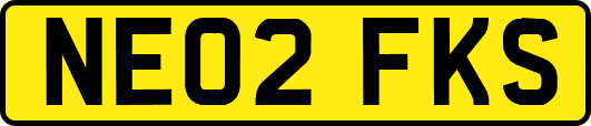 NE02FKS
