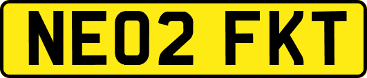 NE02FKT