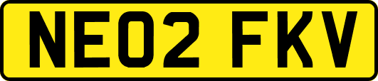 NE02FKV