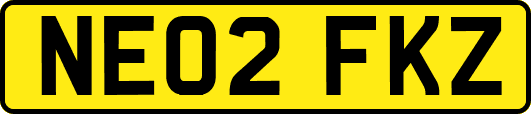 NE02FKZ