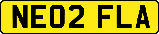 NE02FLA