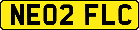 NE02FLC