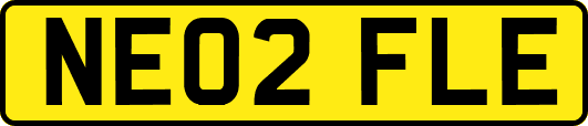NE02FLE