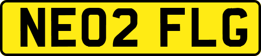 NE02FLG