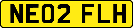 NE02FLH