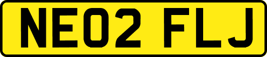 NE02FLJ