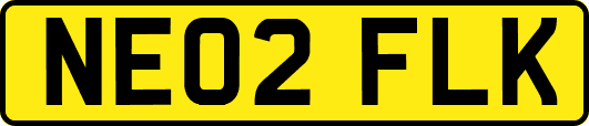 NE02FLK