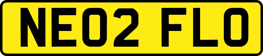NE02FLO