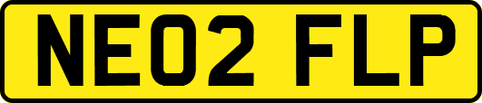 NE02FLP