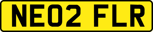 NE02FLR