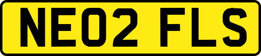 NE02FLS