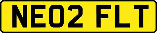 NE02FLT