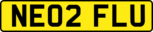 NE02FLU