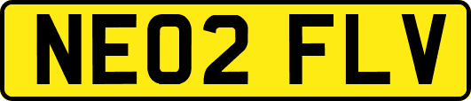 NE02FLV