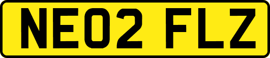 NE02FLZ