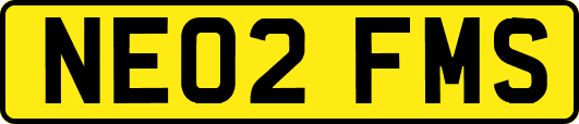 NE02FMS
