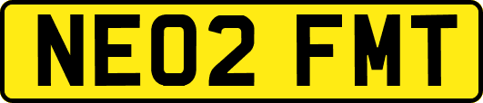 NE02FMT