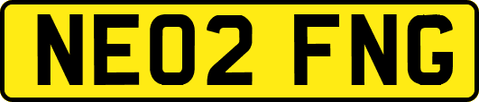 NE02FNG