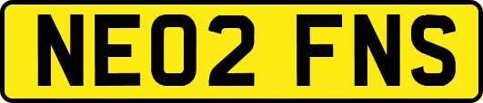 NE02FNS