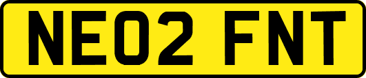 NE02FNT