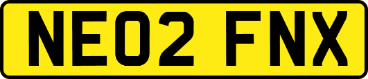 NE02FNX