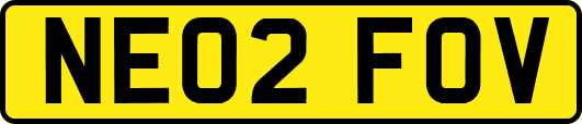 NE02FOV