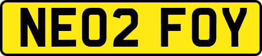 NE02FOY