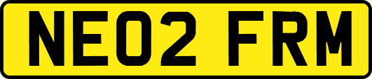 NE02FRM