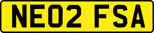 NE02FSA