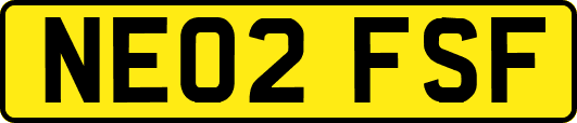 NE02FSF