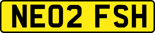 NE02FSH