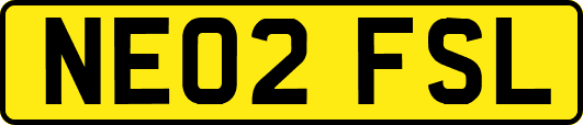 NE02FSL